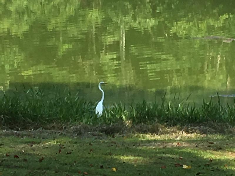 Dale County PFL Outdoor Alabama